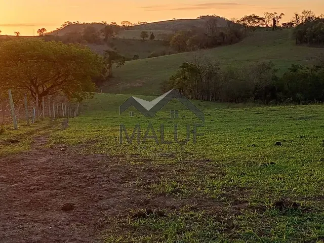 Sítio com 20000m², à venda, no bairro Área Rural de Saltinho em Saltinho