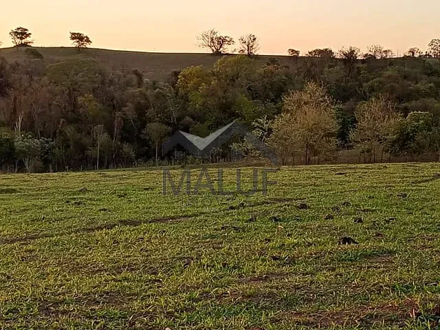 Sítio com 20000m², à venda, no bairro Área Rural de Saltinho em Saltinho