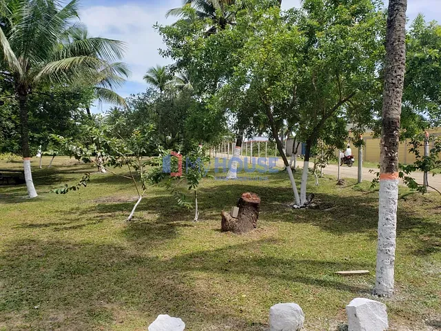 Sítio com 90000m² 3 quartos e 2 banheiros, à venda, no bairro Aritaguá em Ilhéus