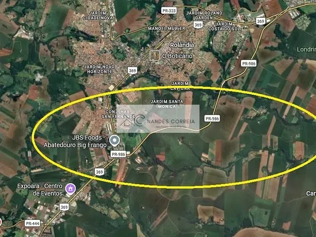 Sítio com 136446m², à venda, no bairro Área Rural de Rolândia em Rolândia