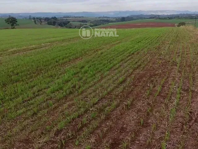 Sítio com 146400m² 1 quarto e 1 banheiro, à venda, no bairro Centro em Tamarana