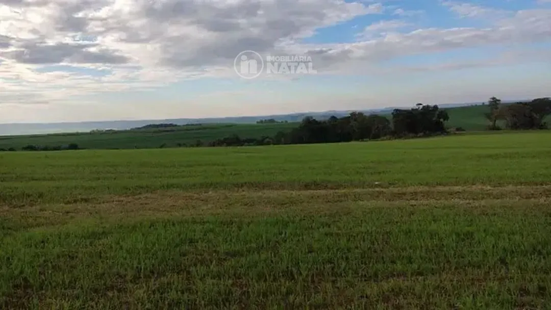 Fazenda, 15 hectares - Foto 2