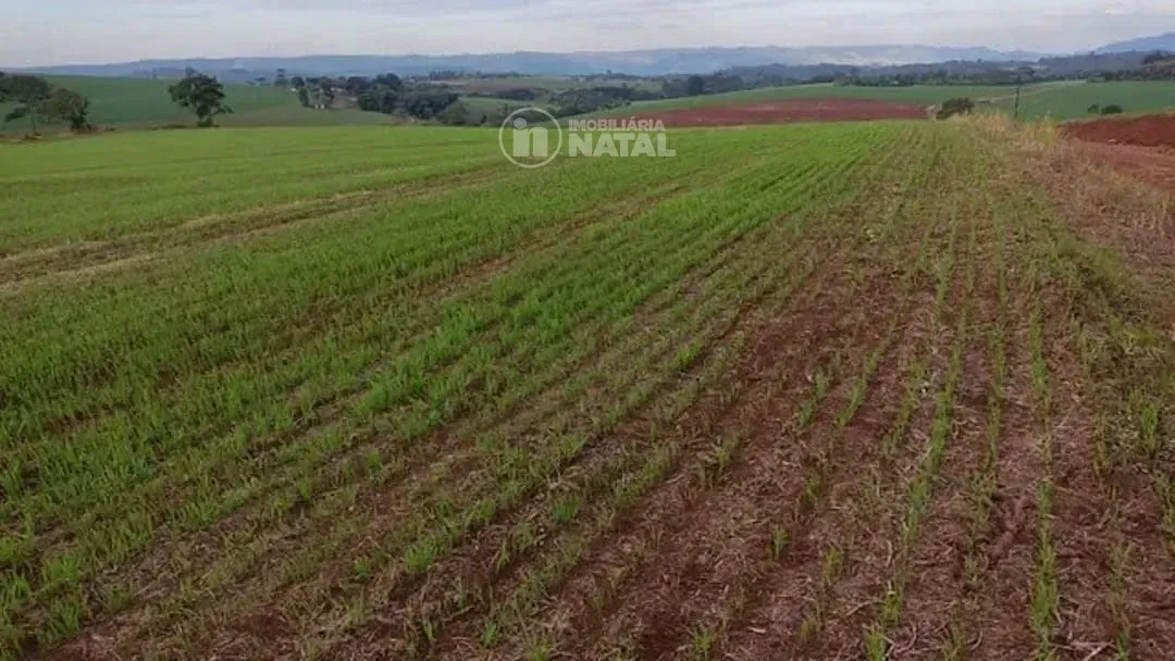 Fazenda, 15 hectares - Foto 3