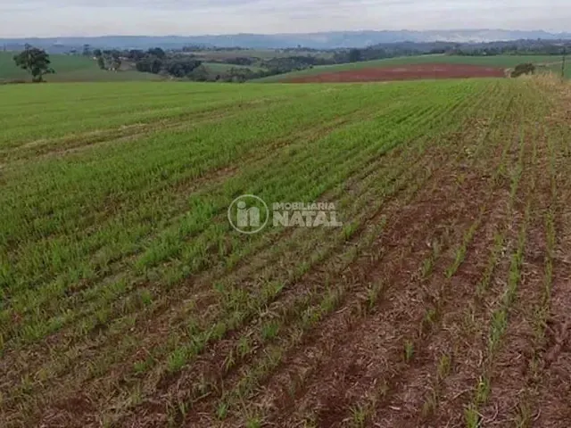 Sítio com 146400m² 1 quarto e 1 banheiro, à venda, no bairro Centro em Tamarana