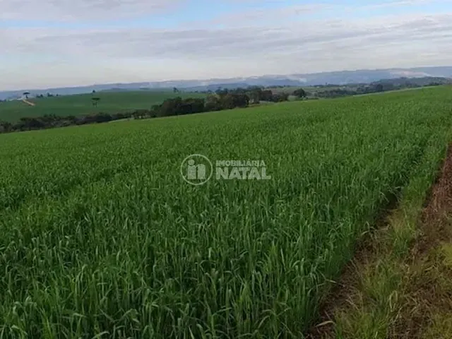 Sítio com 146400m² 1 quarto e 1 banheiro, à venda, no bairro Centro em Tamarana