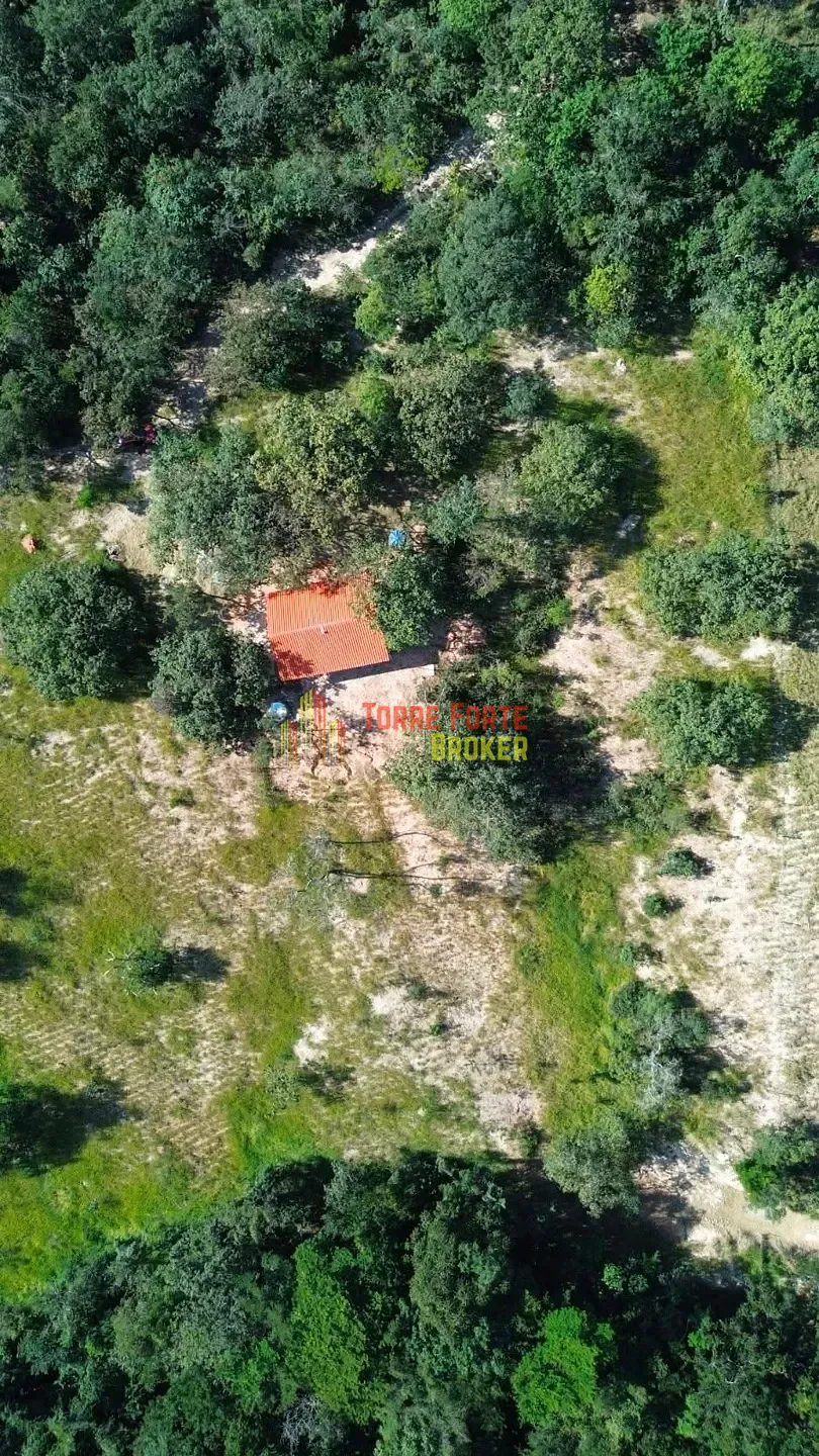 Fazenda, 2 hectares - Foto 3