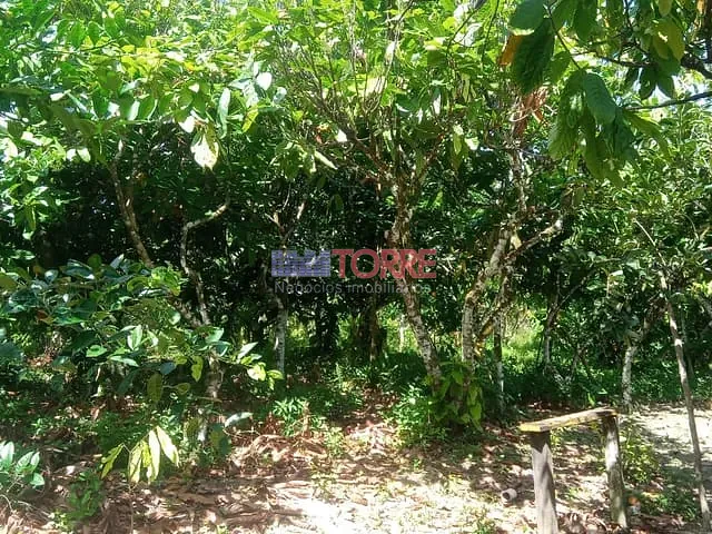 Fazenda com 230000m² 2 quartos e 2 banheiros, à venda, no bairro Aritaguá em Ilhéus