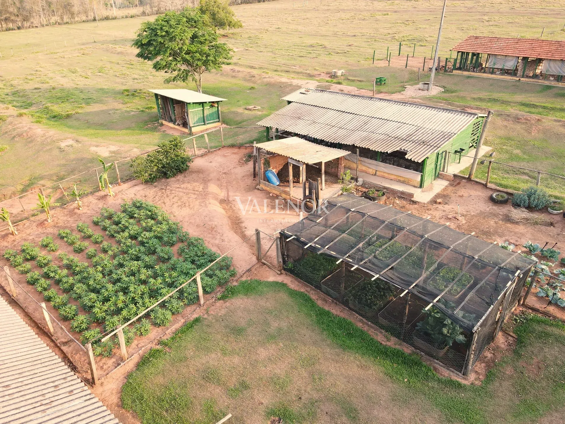 Fazenda, 10 hectares - Foto 20