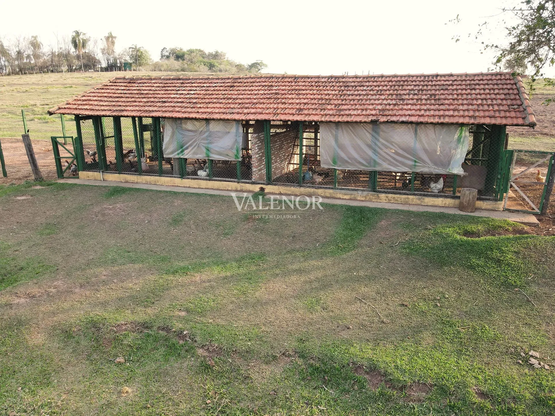Fazenda, 10 hectares - Foto 21
