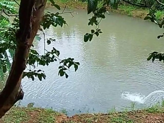 Sítio 3 quartos e 2 banheiros, à venda, no bairro C em Abadiânia