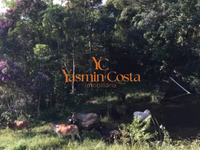 Sítio com 338800m², à venda, no bairro Serra dos Rodrigues em Cambuí