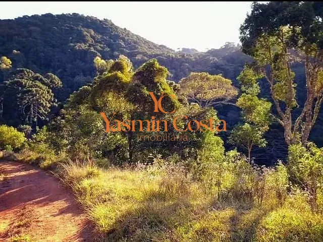 Sítio com 338800m², à venda, no bairro Serra dos Rodrigues em Cambuí