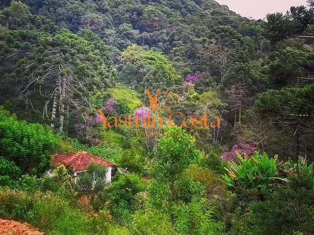 Sítio com 338800m², à venda, no bairro Serra dos Rodrigues em Cambuí