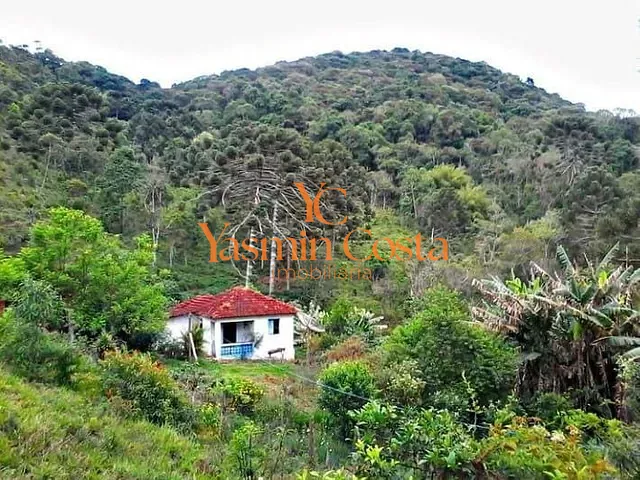 Sítio com 338800m², à venda, no bairro Serra dos Rodrigues em Cambuí