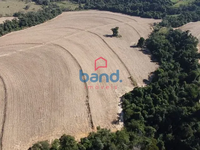 Sítio com 254140m², à venda, no bairro Jardim Porungal em Porto Feliz