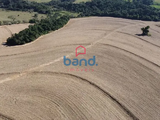 Sítio com 254140m², à venda, no bairro Jardim Porungal em Porto Feliz