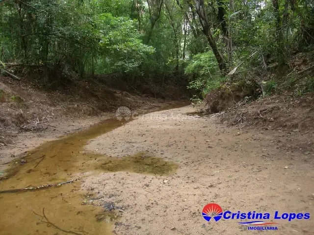 Sítio à venda, no bairro Zona Rural em Demerval Lobão