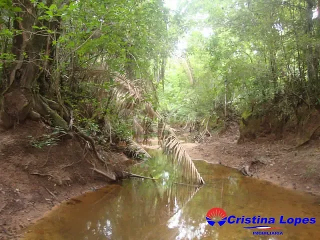 Sítio à venda, no bairro Zona Rural em Demerval Lobão