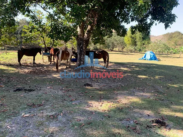 Sítio com 99160m² 3 quartos e 3 banheiros, à venda, no bairro Colônia Santo Antônio em Barra Mansa