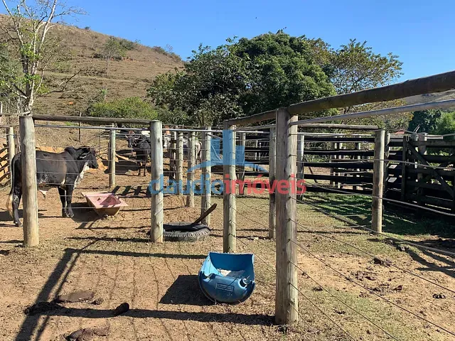 Sítio com 99160m² 3 quartos e 3 banheiros, à venda, no bairro Colônia Santo Antônio em Barra Mansa