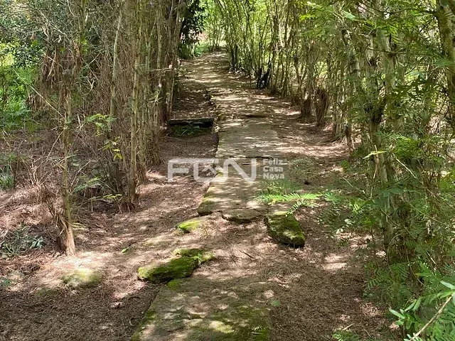 Sítio com 10000m² 4 quartos e 1 banheiro, à venda, no bairro Pitanga de palmares em Simões Filho