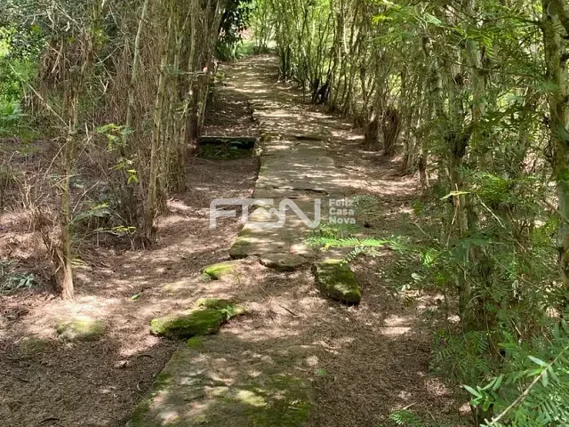Sítio com 10000m² 4 quartos e 1 banheiro, à venda, no bairro Pitanga de palmares em Simões Filho
