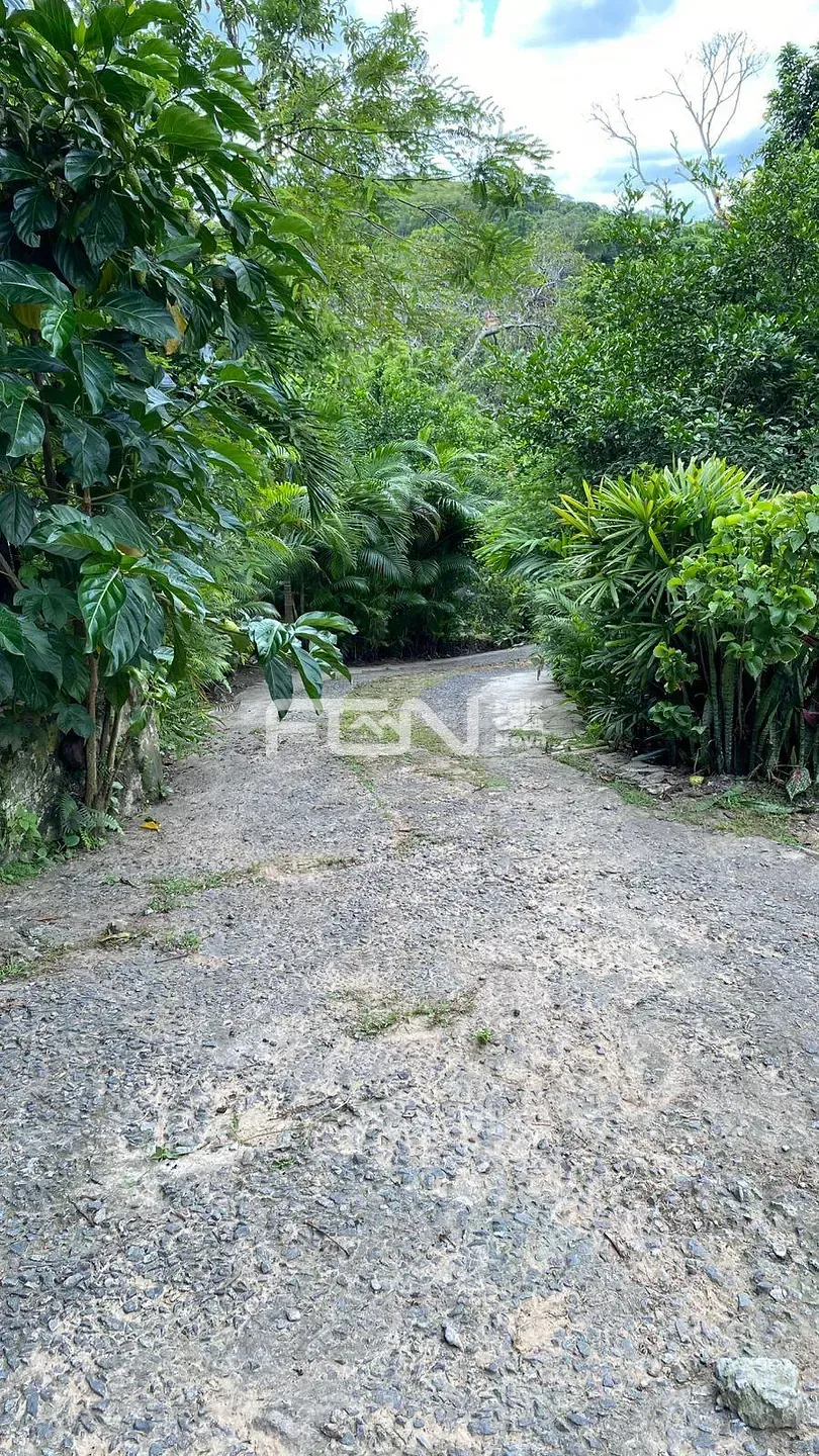 Sítio, 4 quartos, 10000 m² - Foto 22