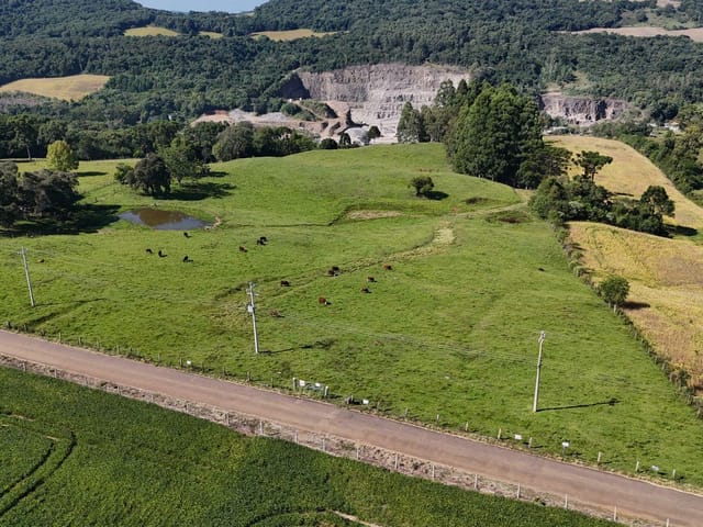 Sítio com 58000m², à venda, no bairro São Belin em Nova Prata