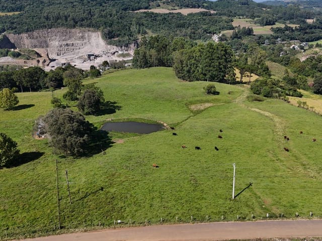 Sítio com 58000m², à venda, no bairro São Belin em Nova Prata