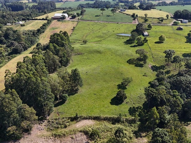 Sítio com 58000m², à venda, no bairro São Belin em Nova Prata