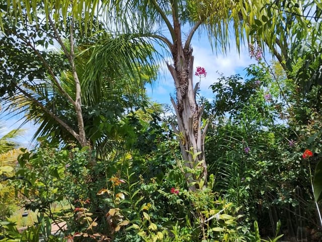 Foto do Apartamento - Sítio à venda 2 Quartos, 1 Suite, 700M², são jose de almeida, Jaboticatubas - MG | Imobiliária Unique Leste