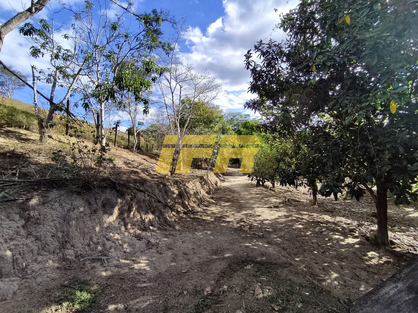 Sítio, 3 quartos, 7 hectares - Foto 26