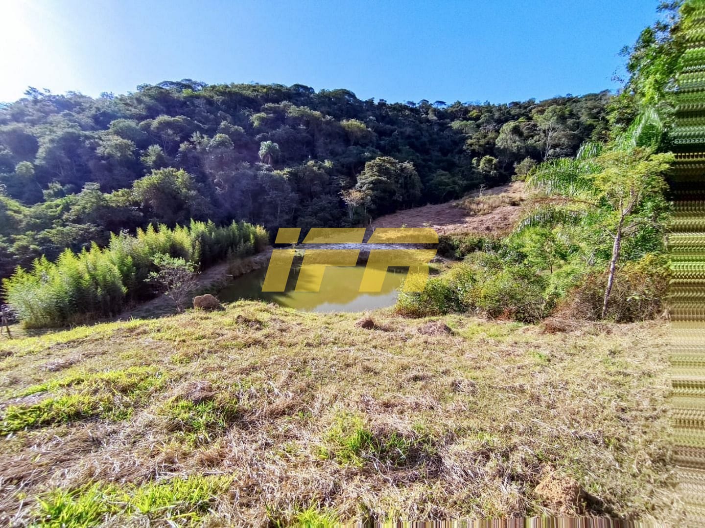 Sítio, 3 quartos, 7 hectares - Foto 18