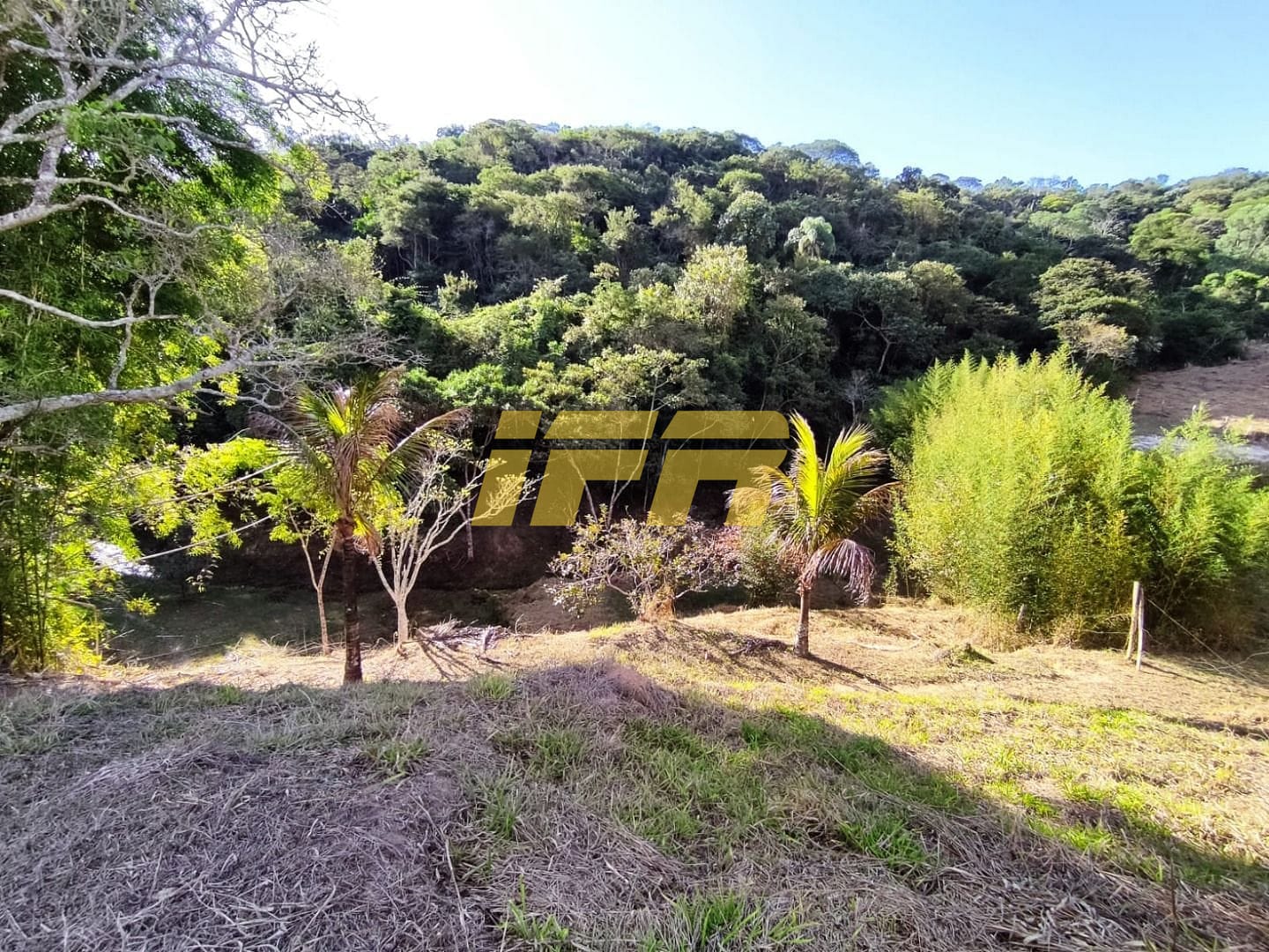 Sítio, 3 quartos, 7 hectares - Foto 17