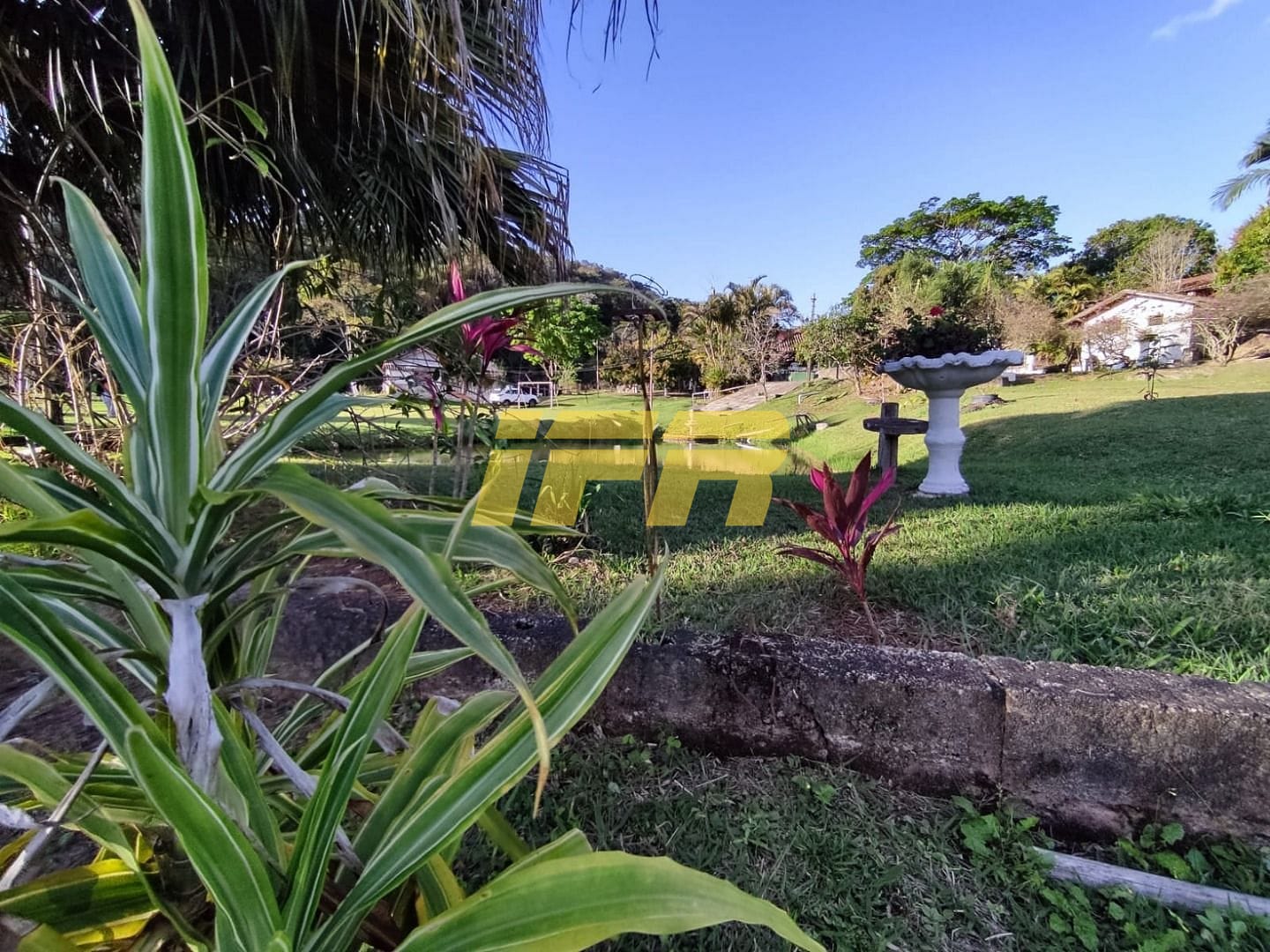 Sítio, 3 quartos, 7 hectares - Foto 6