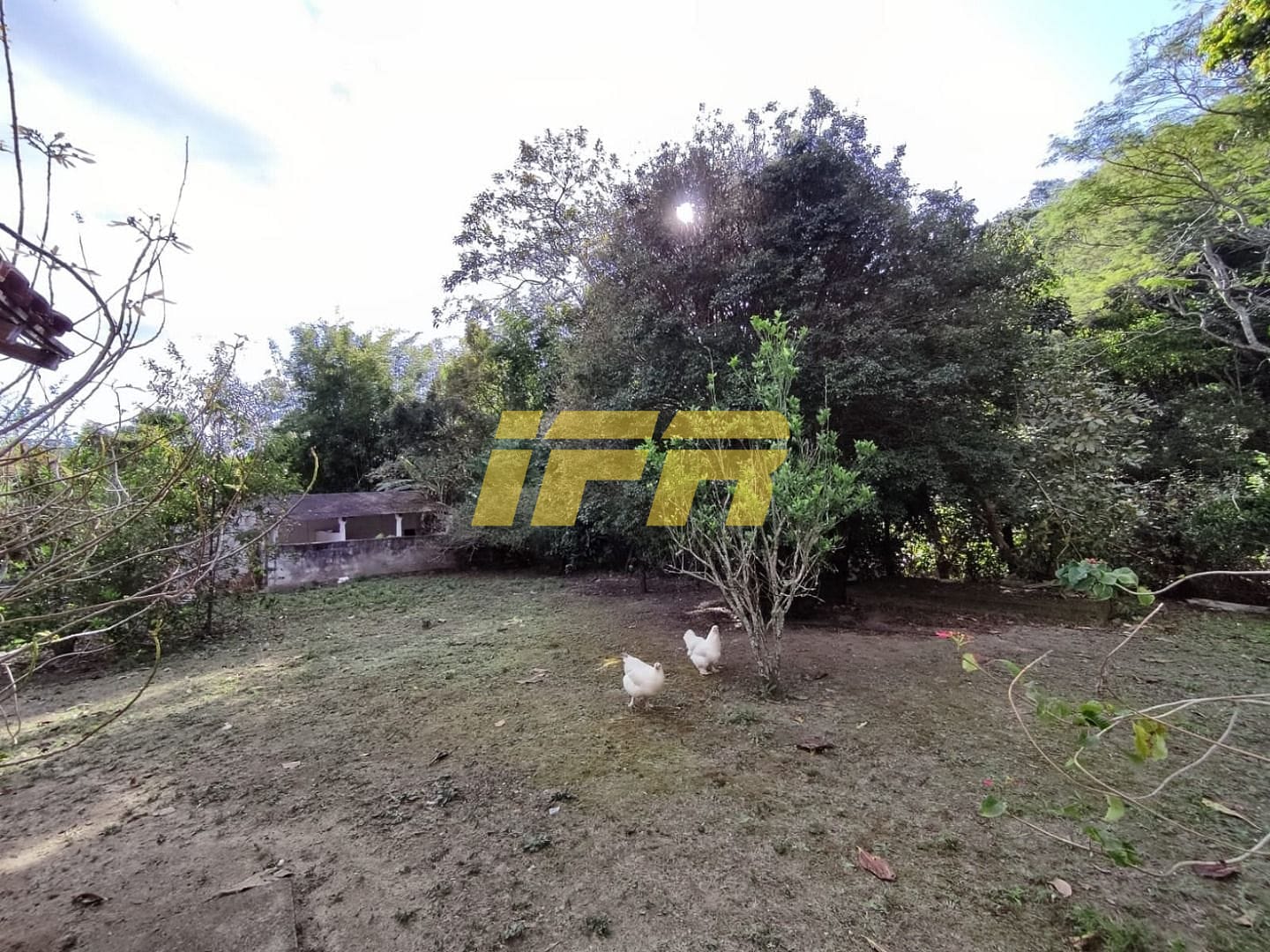 Sítio, 3 quartos, 7 hectares - Foto 31