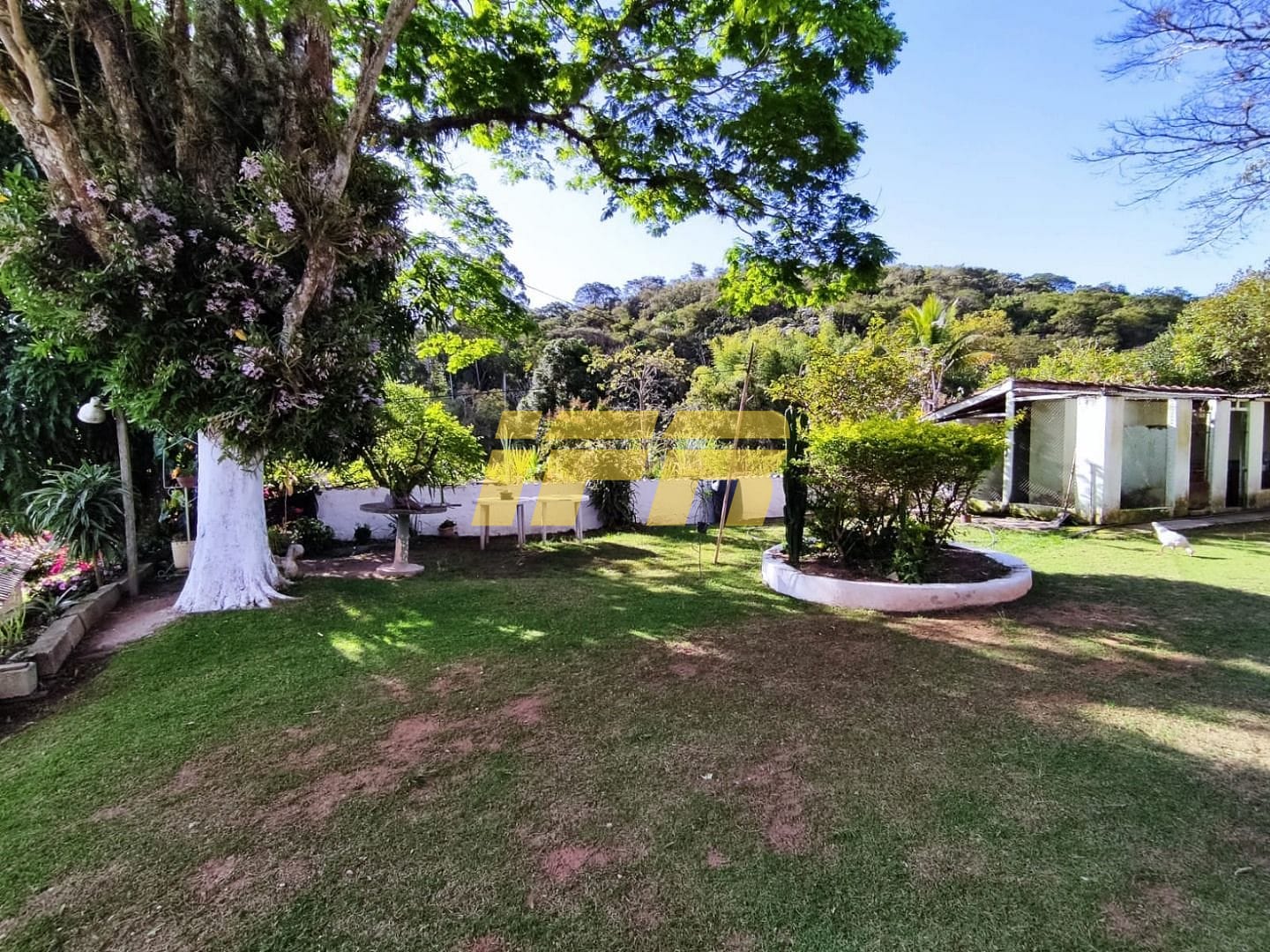 Sítio, 3 quartos, 7 hectares - Foto 56