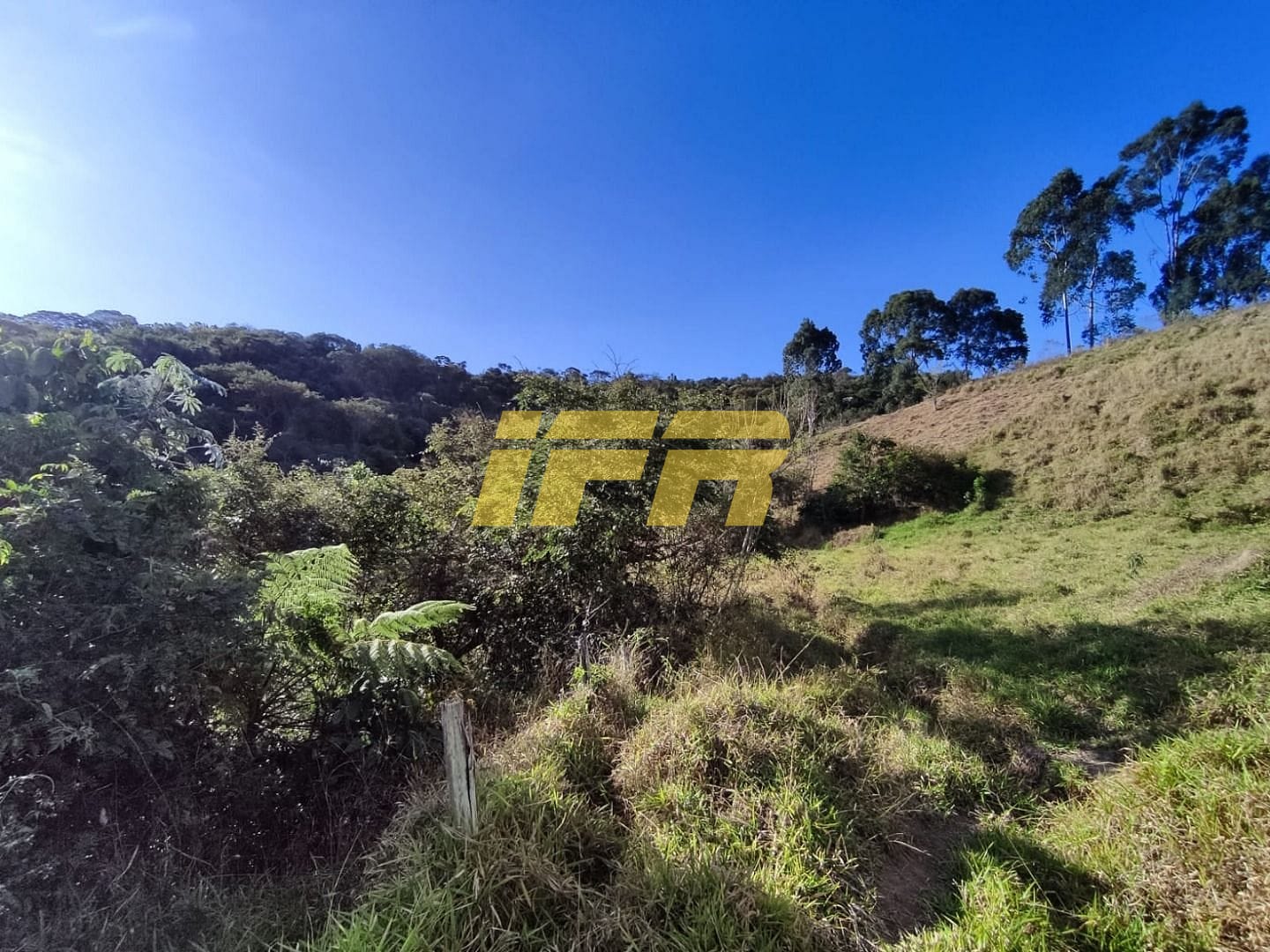 Sítio, 3 quartos, 7 hectares - Foto 19