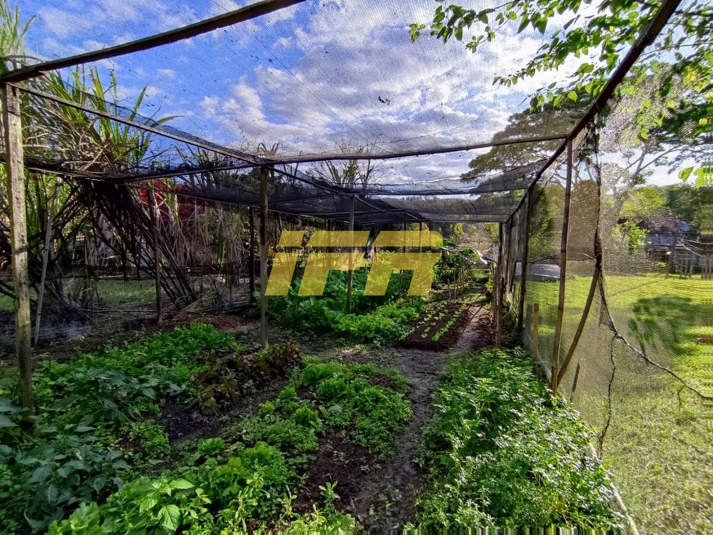 Sítio, 3 quartos, 7 hectares - Foto 11