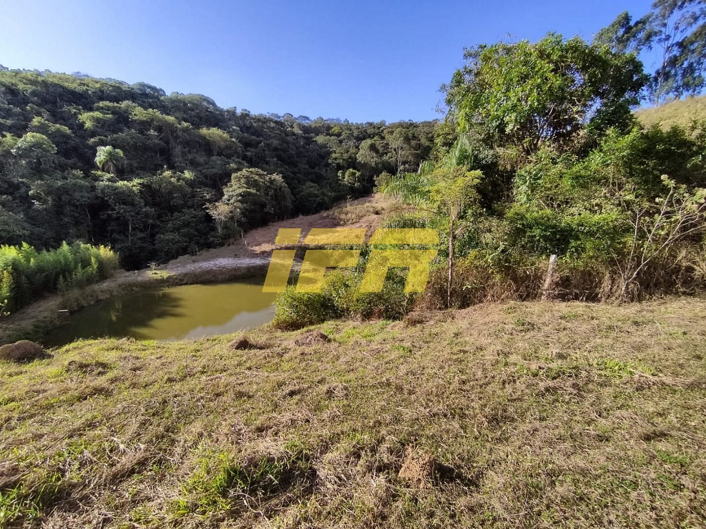 Sítio, 3 quartos, 7 hectares - Foto 21