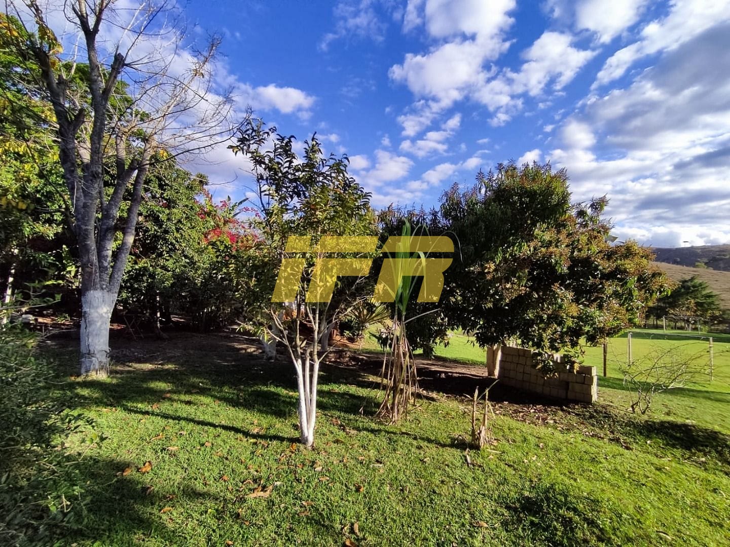 Sítio, 3 quartos, 7 hectares - Foto 12