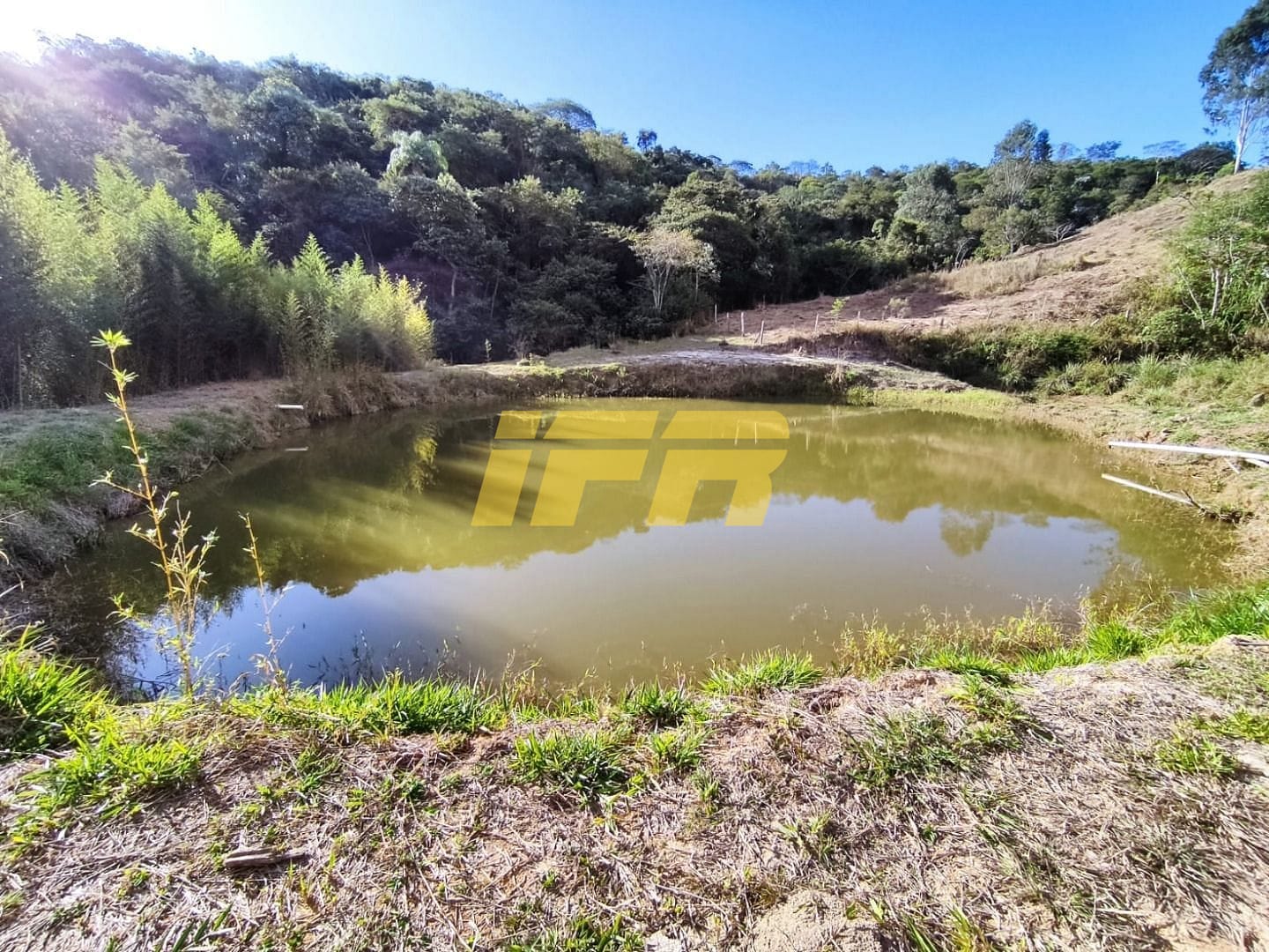 Sítio, 3 quartos, 7 hectares - Foto 23