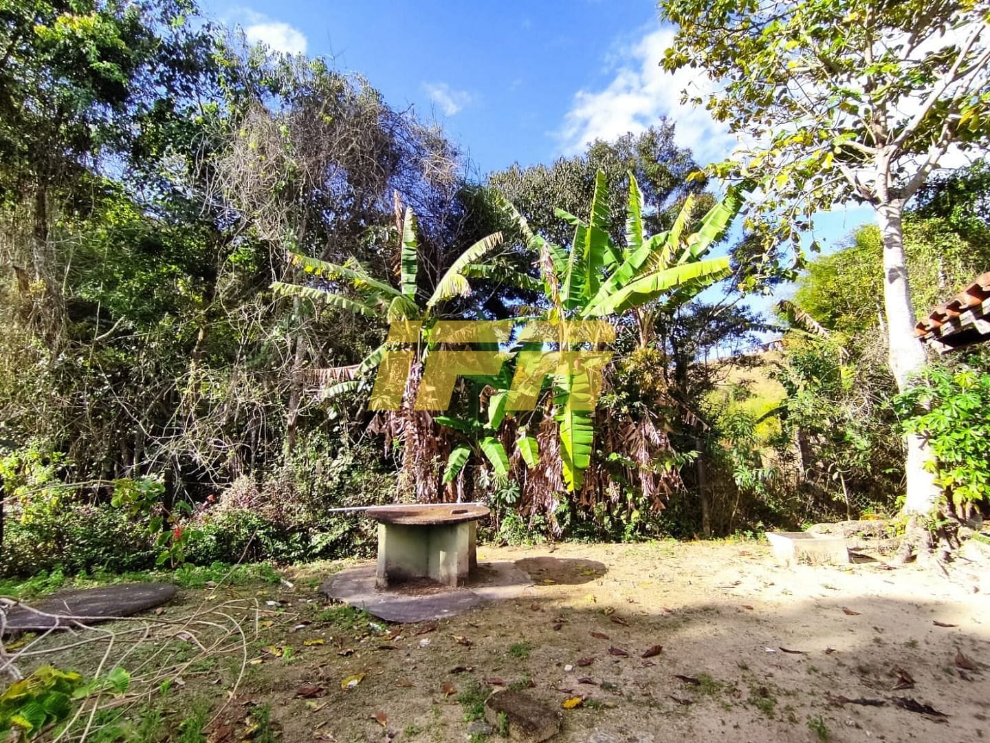 Sítio, 3 quartos, 7 hectares - Foto 34