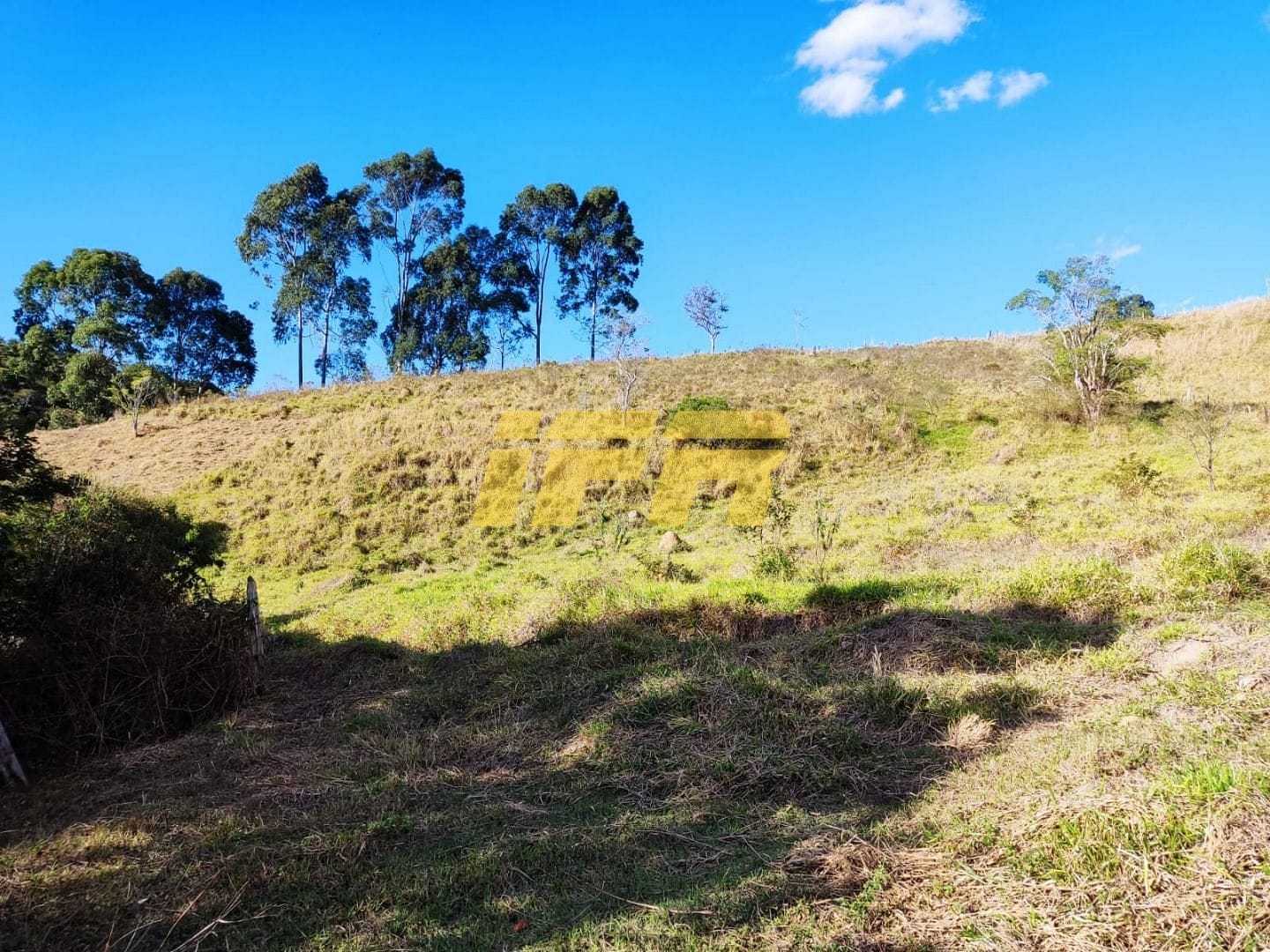 Sítio, 3 quartos, 7 hectares - Foto 20