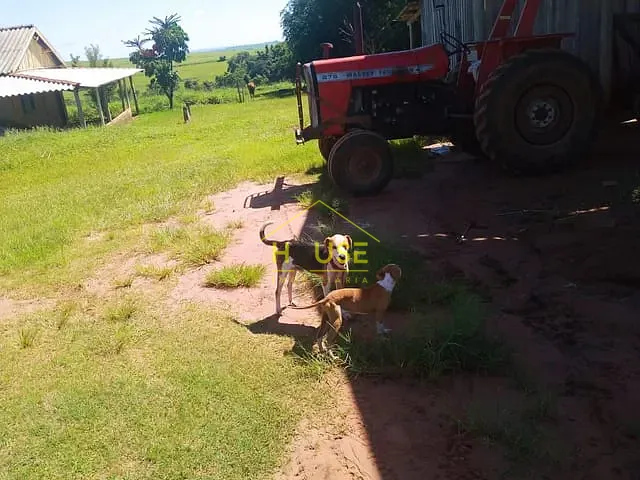 Sítio com 1000000m² 2 quartos e 2 banheiros, à venda, no bairro Área Rural de Petrolina em Petrolina