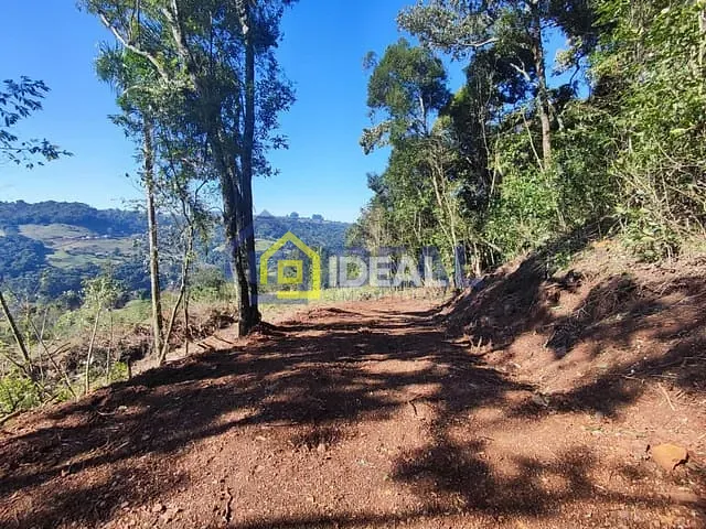 Sítio com 20000m², à venda, no bairro Fragosos em Concórdia