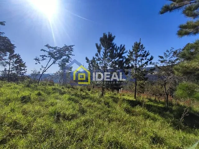 Sítio com 20000m², à venda, no bairro Fragosos em Concórdia