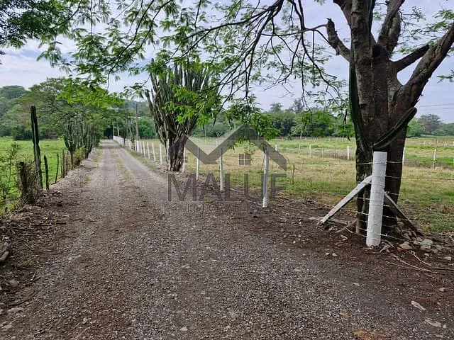Sítio com 300m² 3 quartos e 2 banheiros, à venda, no bairro Área Rural de Saltinho em Saltinho