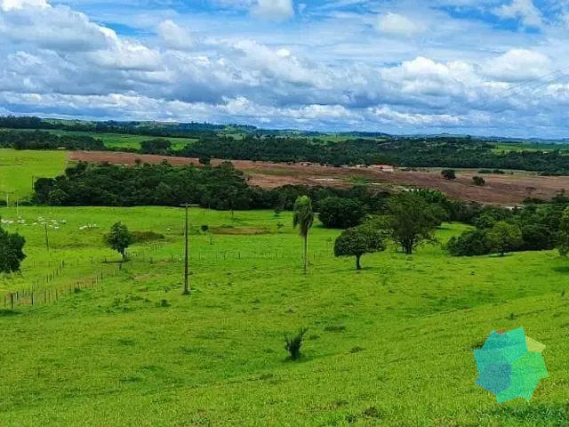 Sítio com 295200m², à venda, no bairro Jardim Monte Santo em Itapetininga