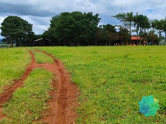 Sítio com 295200m², à venda, no bairro Jardim Monte Santo em Itapetininga